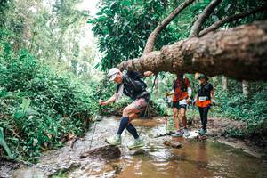 BIB: 
                            <button type="button" onclick="openModal(25375883)" class="btn btn-primary btn-sm float-right btn-popup" data-toggle="modal" data-target=".modal-high-quality">
                        <i class="fas fa-shopping-cart"></i> Add to Cart
                    </button>
                                            <button type="button" onclick="isThisMe(25375883, true)" class="btn btn-success btn-sm float-right btn-popup btn-isme hidden" data-toggle="tooltip" data-placement="bottom" title="นี่คือรูปของคุณใช่ไหม คลิกที่นี่เพื่อเอาเข้าอัลบั้ม">
                        <i class="fas fa-plus"></i> Add to album
                    </button>
                    <button type="button" onclick="isThisMe(25375883, false)" class="btn btn-warning btn-sm float-right btn-popup btn-isnotme hidden">
                        <i class="fas fa-ban"></i> Remove from album
                    </button>